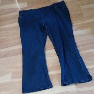 Woman Within Plus Size Blue Flared Jeans
